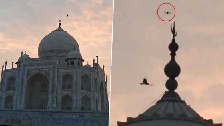 Taj Mahal Video: ताजमहल की सुरक्षा में लगी सेंध! मुख्य गुंबद के ऊपर उड़ रहे ड्रोन का वीडियो हुआ वायरल