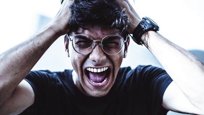 Anger Management Tips: छोटी-छोटी बात पर क्रोध करना खुद के लिए खतरनाक हो सकता है! जानें क्रोध पर कंट्रोल करनेवाले कुछ टिप्स!