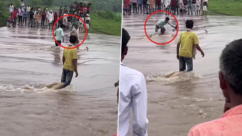 Video: उफनती नदी पार कर रहा था बुजुर्ग, तेज पानी में बहा, देखते रह गए लोग, घटना का वीडियो वायरल