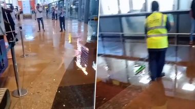 Goa Airport Flooded With Water: उत्तरी गोवा के मनोहर अंतर्राष्ट्रीय हवाई अड्डे में घुसा बारिश का पानी, एयरपोर्ट की इस घटना पर कांग्रेस ने उठाए सवाल- (Watch Video)