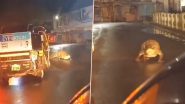 Maharashtra News: चिपलून शहर में खुलेआम बीच सड़क पर घूमता दिखा मगरमच्छ, स्थानीय लोगों में भय का माहौल (Watch Video)