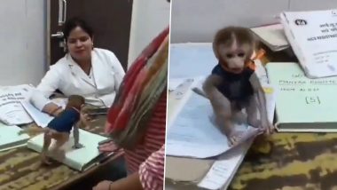 Bahraich Viral Video: बहराइच के महर्षि बालार्क अस्पताल में बंदर के बच्चे के साथ टाइमपास करने वाली 6 नर्सें निलंबित, वीडियो वायरल होने के बाद स्वास्थ्य विभाग ने की कार्रवाई