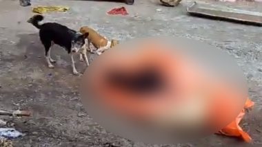 Dogs Ate The Corpse: इंसानियत हुई शर्मसार! लावारिस लाश को कुत्ते नोचते हुए खाते दिखे, झांसी के पोस्टमार्टम हाउस की घटना-Video