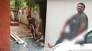 Video: पिटबुल डॉग ने डिलीवरी बॉय पर किया जानलेवा हमला, लहुलुहान हुआ व्यक्ति, वीडियो देख गुस्साएं लोग