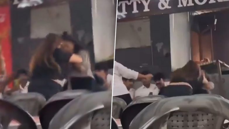 VIDEO: नोएडा की एमिटी यूनिवर्सिटी में लड़कियों के बीच हुई WWE जैसी फाइट, वीडियो वायरल होने पर एक्शन में आई पुलिस