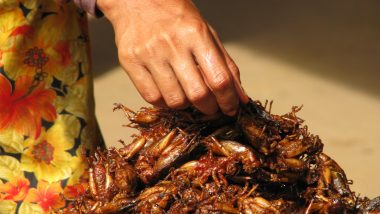 SFA Allows Insects As Human Food: सिंगापुर ने 16 कीड़ों को मानव भोजन के रूप में इस्तेमाल करने की मंजूरी दी