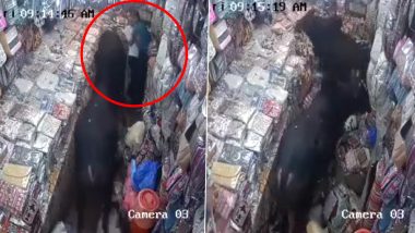 दुकान में दो सांडों के बीच कलेश में दांव पर लगी दो लड़कियों की जिंदगी, Viral Video में देखें कैसे बाल-बाल बची जान