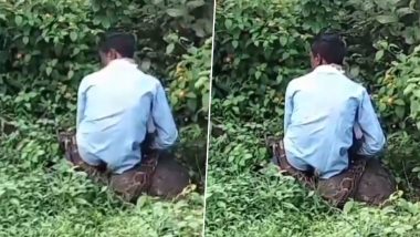 Python Attack Video: जबलपुर में शौच कर रहे शख्स पर विशाल अजगर ने हमला कर की निगलने की कोशिश, ग्रामीणों ने उसे मार ऐसे बचाई जान