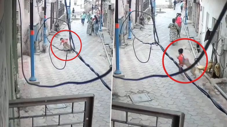 Viral Video: मासूम बच्चे पर बंदरों ने किया हमला, स्थानीय लोगों ने दौड़कर बचाई जान, देखें हैरान करने वाला वीडियो