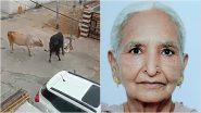 VIDEO: कुरुक्षेत्र में गाय ने बुजुर्ग महिला को पटक-पटककर मार डाला, CCTV फुटेज में कैद हुई दर्दनाक घटना