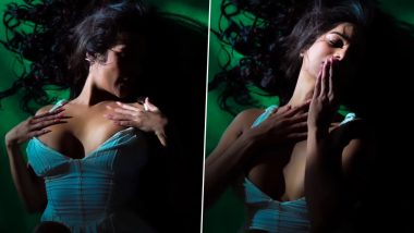 Poonam Pandey ने रिवीलिंग बॉडीकॉन ड्रेस पहन कराया बोल्ड फोटोशूट, एक्ट्रेस की हॉटनेस ने बढ़ाया सोशल मीडिया का तापमान (Watch Video)