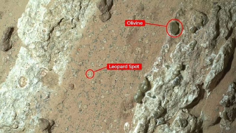 Mars Cheyava Falls: पहली बार मंगल ग्रह पर मिले जीवन के संकेत! चट्टान पर दिखा प्राचीन जीव का निशान, धरती पर सैंपल लाएगा NASA