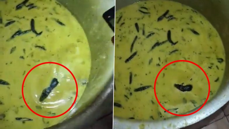 Rat Found Alive in Chuteny: हैदराबाद के JNTUH हॉस्टल की बड़ी लापरवाही! मेस में परोसी गई चटनी में जिंदा तैरता हुआ मिला चूहा, छात्र गुस्से में- VIDEO