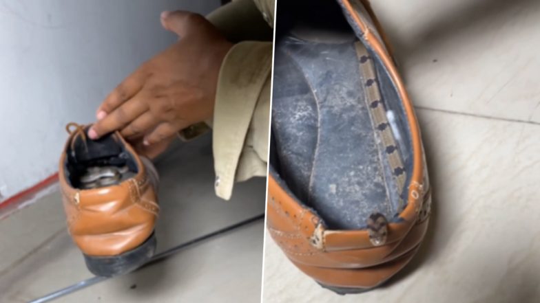 Viral Video: जूते के अंदर छिपकर मजे से आराम कर रहा था खतरनाक सांप, नजारा देख उड़े लोगों के होश
