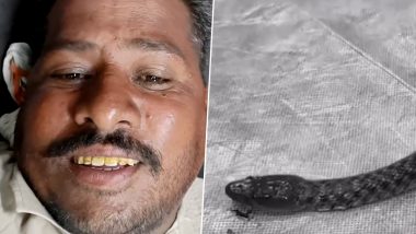 Snake Dies After Biting Farmer: पंजाब के अबोहर में किसान ने गलती से सांप पर रख दिया पैर, खुद तो बच गया, लेकिन वह मर गया; लोग हैरान- वीडियो