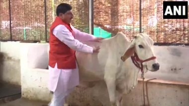 Gau Pooja Video: गुरु पूर्णिमा पर सीएम मोहन यादव ने की गौ पूजा, देशवासियों को दी हार्दिक शुभकामनाएं