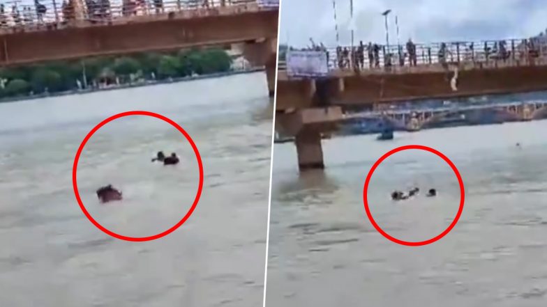 Video: SDRF जवान HC आशिक अली ने गंगा में बह रहे शख्स को बचाने के लिए नदी में लगाई छलांग, हरिद्वार का वीडियो हुआ वायरल