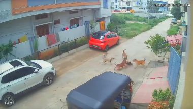 Dog Attack Video: हैदराबाद में 6 आवारा कुत्तों ने बच्चे पर किया हमला, देखें दहला देने वाली घटना का वीडियो