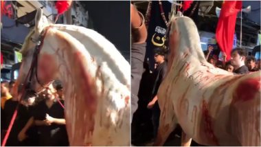 Horse Paraded Video: मुंबई में मुहर्रम जुलूस में घायल घोड़े की परेड, 'जख्म से लहूलुहान' जानवर को देख भड़क गए लोग