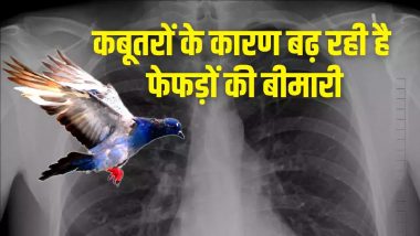 Pigeon Droppings Deadly Allergy: कबूतरों की बीट बेहद खतरनाक! दिल्ली में बच्चे को हुआ फेफड़ों का जानलेवा रोग, जानें इससे बचने के उपाय