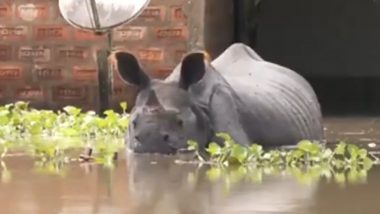 Assam Floods: काजीरंगा राष्ट्रीय उद्यान में 11 जंगली जानवर डूबे, 65 को बचाया गया