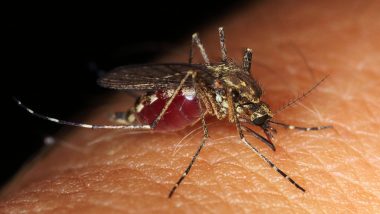 Dengue: दिमाग और नर्वस सिस्टम को बुरी तरह प्रभावित कर सकता है डेंगू; बेहद खतरनाक है यह स्थिति