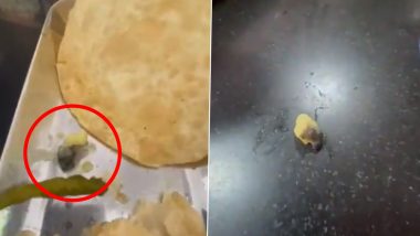 Hyderabad: रेस्टोरेंट की करी में मिला मरा हुआ कीड़ा, सोशल मीडिया पर Video हुआ वायरल