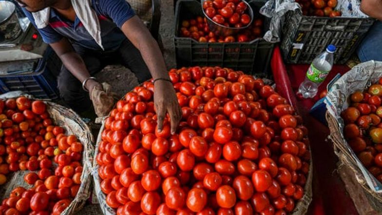 Tomato Price: 60 रुपए किलो मिलेंगे टमाटर! दिल्ली-NCR में इस दिन से NCCF लगाएगा स्टॉल