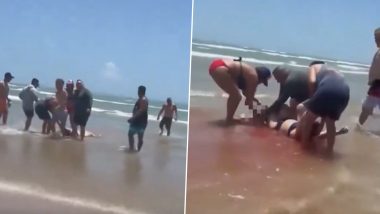 Shark Attack in US: 4 जुलाई के जश्न के दौरान साउथ पैड्रे द्वीप पर शार्क ने चार लोगों पर किया हमला (Watch Video)