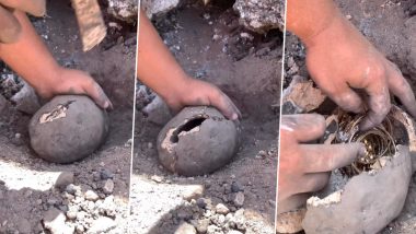 Gold Chain Inside A Clay Egg: शख्स को 'मिट्टी के अंडे' के अंदर छिपी हुई मिली सोने की चेन, नेटीजंस ने पूछा असली या नकली?