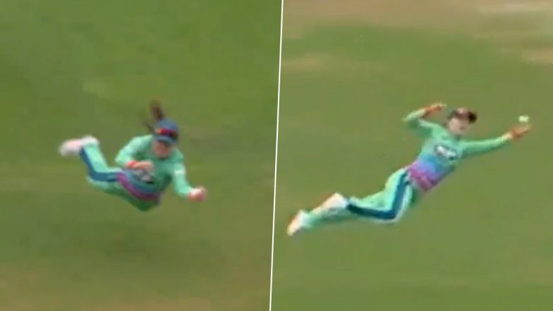 Superwomen Mady Villiers! द हंड्रेड में सुपरवुमन की तरह उड़ीं मैडी विलियर्स, हवा में छलांग लगाकर एक हाथ से लपका खतरनाक कैच, देखें वीडियो