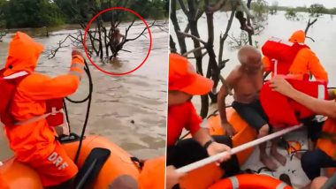 Gujarat Rain: गुजरात में भारी बारिश से जनजीवन अस्त व्यस्त, NDRF ने वलसाड के औरंगा नदी में फंसे एक व्यक्ति को बचाया; VIDEO