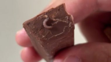 Worms in Cadbury Daily Milk Chocolate: कैडबरी की चॉकलेट में फिर से निकला कीड़ा, ग्राहक ने कानूनी कार्रवाई की दी चेतावनी (See Pics and Video)