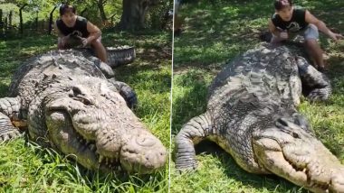 World's Oldest Living Crocodiर फिर गूंजी किलकारी, मां चरण कौर ने दिया बेटे को जन्म, देखें पहली तस्वीर