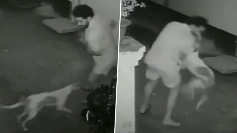 Dog Attack in Gorakhpur: आवारा कुत्ते ने 1 घंटे में महिलाओं और बच्चों समेत 17 लोगों को काटा, देखें वीडियो