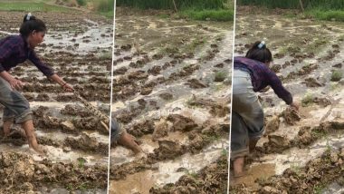 Viral video: नाबालिग लड़की ने पकड़ा विशालकाय अजगर, सामने आया चौंकाने वाला वीडियो