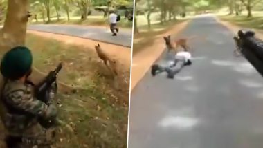 Viral Video: भारतीय सेना के मिलिट्री डॉग K9 Zac का वीडियो वायरल, देखें कैसे करता है हमलावरों पर अटैक