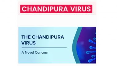 Chandipura Virus: जून से अब तक देश में दिमागी बुखार से 59 मौतें, गुजरात के बाद अब राजस्थान और महाराष्ट्र में