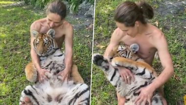 Man Cuddling Tiger Video: बाघ को गले लगाने और गुदगुदी करते हुए शख्स का वीडियो वायरल, शॉक में लोग