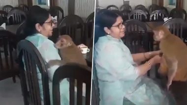 Viral Video: फूड स्टॉल पर भगवान राम के भजन गा रहे लोग, महिला की गोदी में बैठकर झूमने लगा बंदर