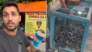 King Cobra Pakoda Video: यहां के लोग खाते हैं किंग कोबरा के पकौड़े और पीते हैं सांप का खून, कमजोर दिल वाले ना देखें यह वीडियो