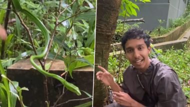 Can You Find The Snake In Video: क्या आप इस वायरल वीडियो में सांप ढूंढ सकते हैं?