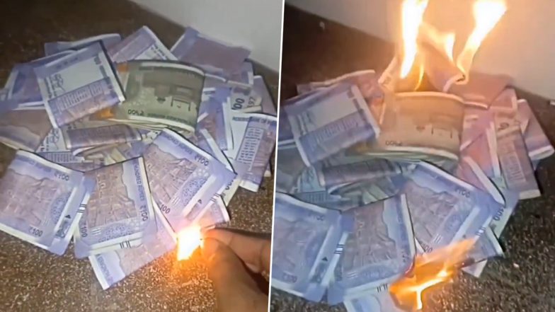 Viral Video: रील बनाने के लिए 500 और 100 के सैकड़ो नोटों को लगा दी आग, सोशल मीडिया पर वीडियो वायरल