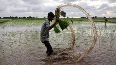 बिहार: जमीन सर्वे के नाम पर क्यों मचा है हंगामा