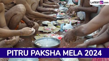 Pitru Paksha Mela 2024: वैशाली की घटना से गया जिला प्रशासन ने लिया सबक, पितृपक्ष मेले में बिजली तार दिखेंगे दुरुस्त