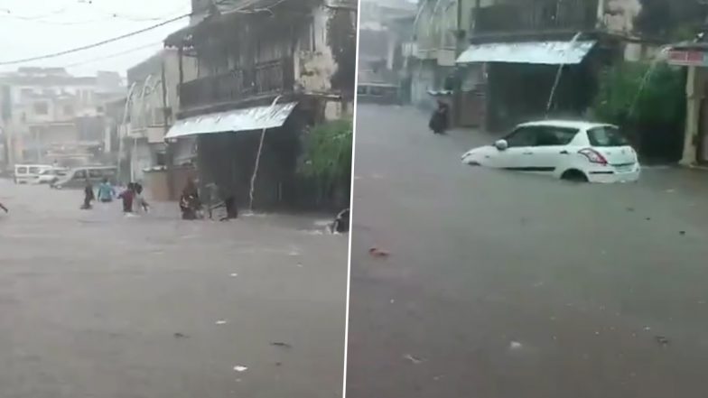 Gujarat Heavy Rain: भारी बारिश के बीच वडोदरा के रिहायशी इलाकों से पहुंचे 24 मगरमच्छ बचाए गए