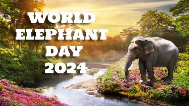 World Elephant Day 2024: क्यों मनाया जाता है वर्ल्ड एलीफैंट डे? जानें क्या है विश्व हाथी दिवस का इतिहास और इसका महत्व