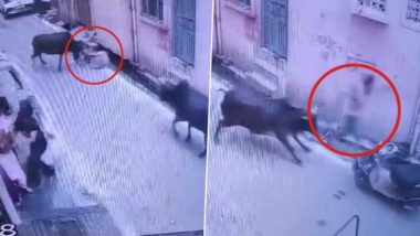 Cow Attack in Lucknow: लखनऊ के रकाबगंज में गाय का जानलेवा अटैक, विचलित कर देने वाला वीडियो आया सामने- VIDEO