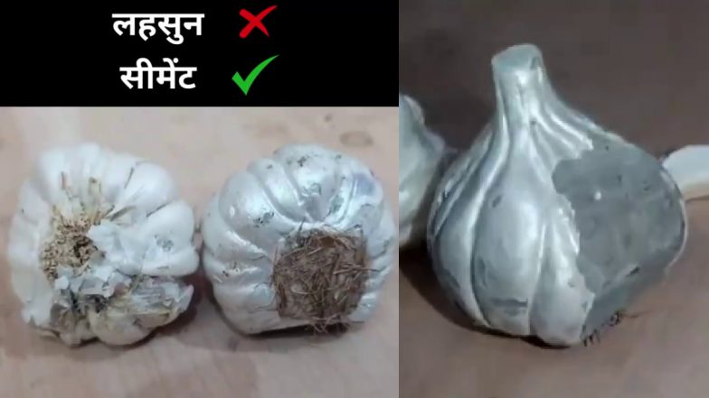 VIDEO: कहीं आप सीमेंट से बने नकली लहसुन तो नहीं खा रहे? महाराष्ट्र में धोखाधड़ी का पर्दाफाश, वीडियो हुआ वायरल