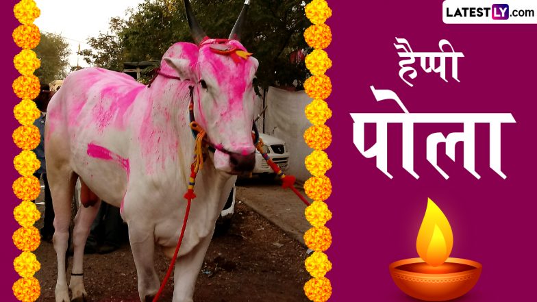 Bail Pola 2024 Wishes: हैप्पी बैल पोला! इन शानदार WhatsApp Stickers, GIF Greetings, HD Images, Wallpapers को शेयर कर दें हार्दिक बधाई
